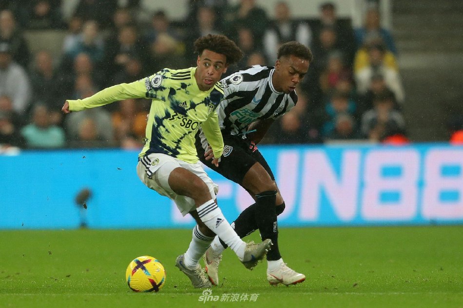 罗泽的战术 罗泽的战术